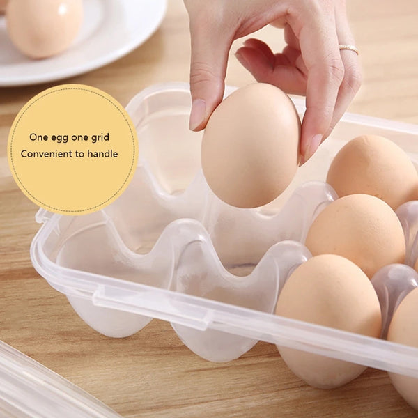 Transparent Lid Storage Egg Box